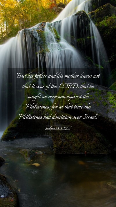 Picture 03 - Judges 14:4 KJV Mobile Phone Wallpaper - But his father and his mother knew not that it - Mobile Bible Verse Wallpaper