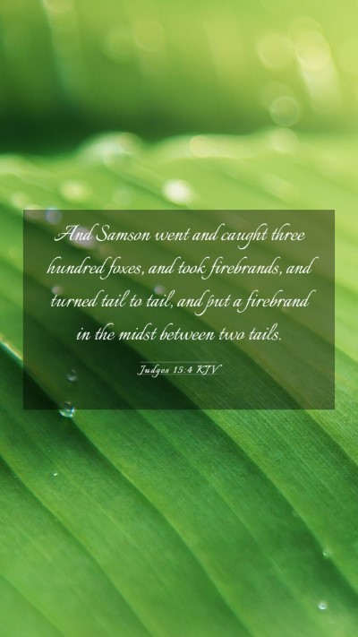 Picture 03 - Judges 15:4 KJV Mobile Phone Wallpaper - And Samson went and caught three hundred foxes, - Mobile Bible Verse Wallpaper