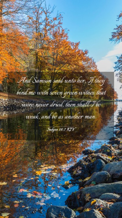 Picture 03 - Judges 16:7 KJV Mobile Phone Wallpaper - And Samson said unto her, If they bind me with - Mobile Bible Verse Wallpaper