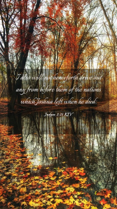 Picture 03 - Judges 2:21 KJV Mobile Phone Wallpaper - I also will not henceforth drive out any from - Mobile Bible Verse Wallpaper