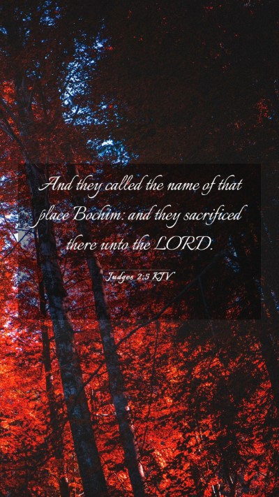 Picture 03 - Judges 2:5 KJV Mobile Phone Wallpaper - And they called the name of that place Bochim: - Mobile Bible Verse Wallpaper
