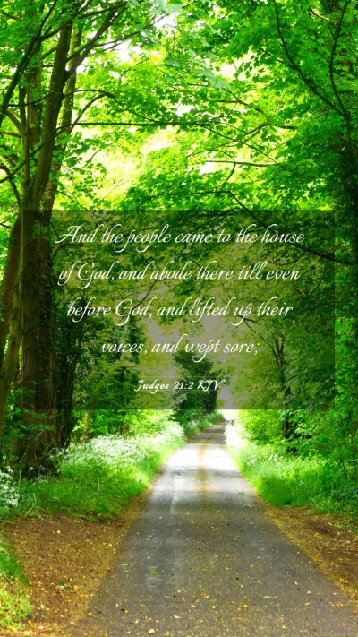 Picture 03 - Judges 21:2 KJV Mobile Phone Wallpaper - And the people came to the house of God, and - Mobile Bible Verse Wallpaper