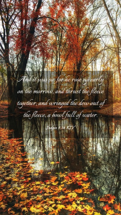 Picture 03 - Judges 6:38 KJV Mobile Phone Wallpaper - And it was so: for he rose up early on the - Mobile Bible Verse Wallpaper