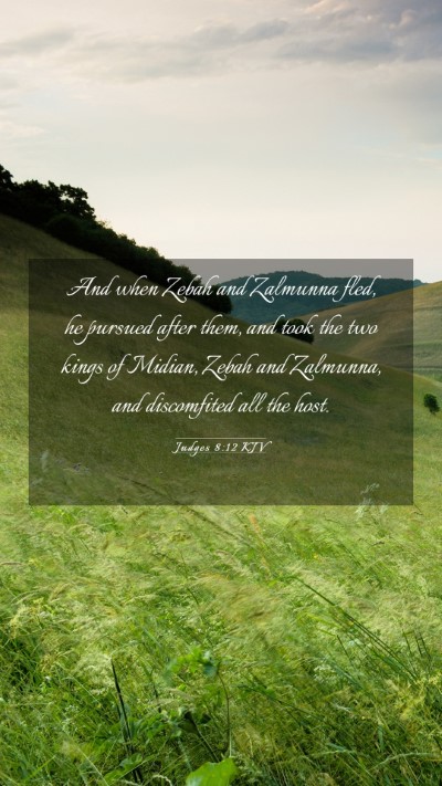 Picture 03 - Judges 8:12 KJV Mobile Phone Wallpaper - And when Zebah and Zalmunna fled, he pursued - Mobile Bible Verse Wallpaper