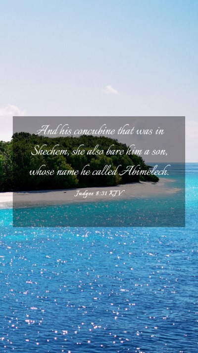 Picture 03 - Judges 8:31 KJV Mobile Phone Wallpaper - And his concubine that was in Shechem, she also - Mobile Bible Verse Wallpaper