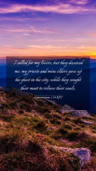 Picture 03 - Lamentations 1:19 KJV Mobile Phone Wallpaper - I called for my lovers, but they deceived me: my - Mobile Bible Verse Wallpaper