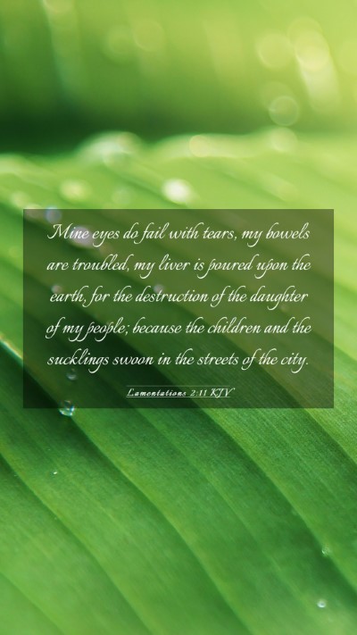 Picture 03 - Lamentations 2:11 KJV Mobile Phone Wallpaper - Mine eyes do fail with tears, my bowels are - Mobile Bible Verse Wallpaper