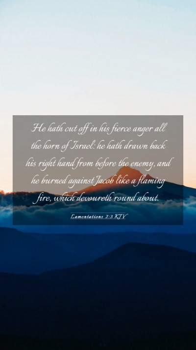 Picture 03 - Lamentations 2:3 KJV Mobile Phone Wallpaper - He hath cut off in his fierce anger all the horn - Mobile Bible Verse Wallpaper