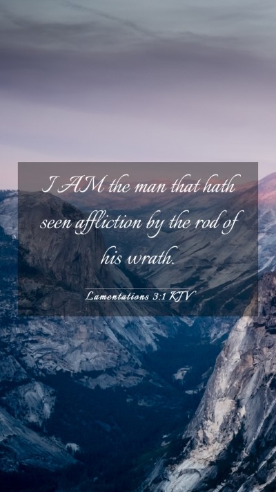 Picture 03 - Lamentations 3:1 KJV Mobile Phone Wallpaper - I AM the man that hath seen affliction by the rod - Mobile Bible Verse Wallpaper