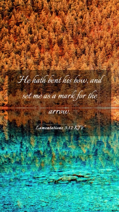Picture 03 - Lamentations 3:12 KJV Mobile Phone Wallpaper - He hath bent his bow, and set me as a mark for - Mobile Bible Verse Wallpaper