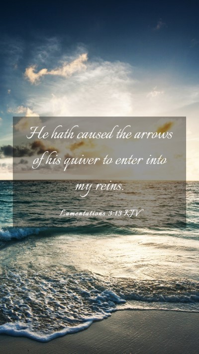 Picture 03 - Lamentations 3:13 KJV Mobile Phone Wallpaper - He hath caused the arrows of his quiver to enter - Mobile Bible Verse Wallpaper