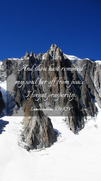 Picture 03 - Lamentations 3:17 KJV Mobile Phone Wallpaper - And thou hast removed my soul far off from peace: - Mobile Bible Verse Wallpaper