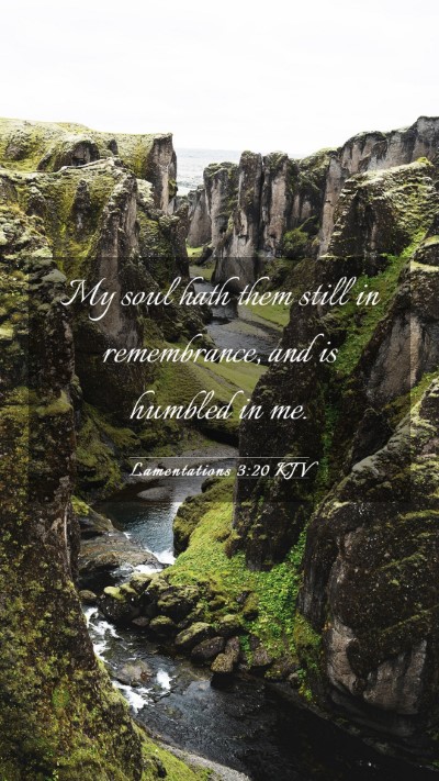 Picture 03 - Lamentations 3:20 KJV Mobile Phone Wallpaper - My soul hath them still in remembrance, and is - Mobile Bible Verse Wallpaper