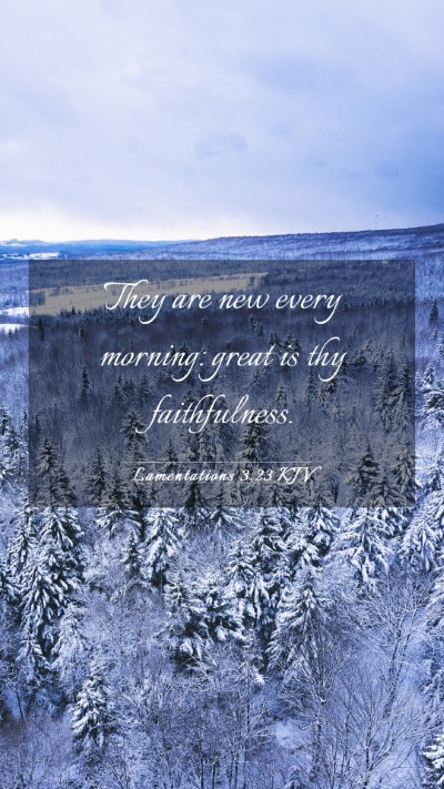 Picture 03 - Lamentations 3:23 KJV Mobile Phone Wallpaper - They are new every morning: great is thy - Mobile Bible Verse Wallpaper