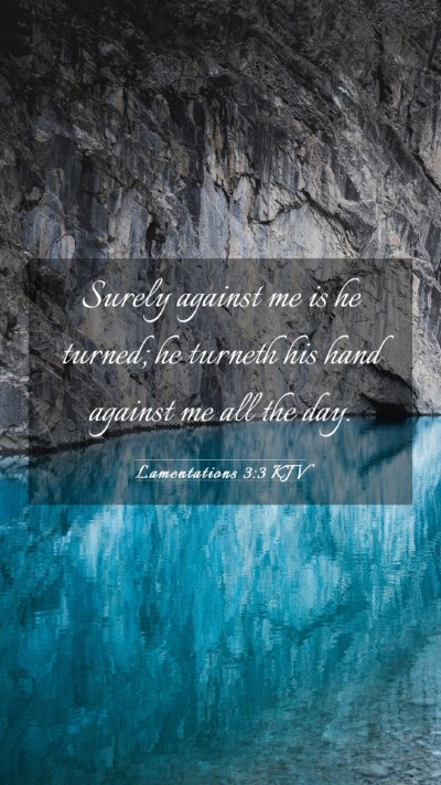 Picture 03 - Lamentations 3:3 KJV Mobile Phone Wallpaper - Surely against me is he turned; he turneth his - Mobile Bible Verse Wallpaper