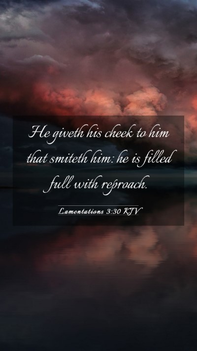 Picture 03 - Lamentations 3:30 KJV Mobile Phone Wallpaper - He giveth his cheek to him that smiteth him: he - Mobile Bible Verse Wallpaper