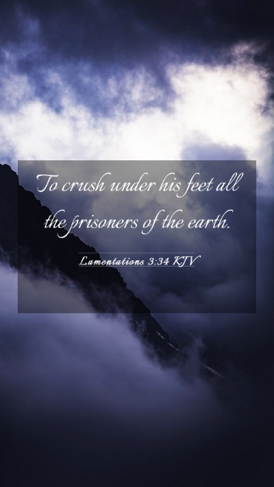 Picture 03 - Lamentations 3:34 KJV Mobile Phone Wallpaper - To crush under his feet all the prisoners of the - Mobile Bible Verse Wallpaper