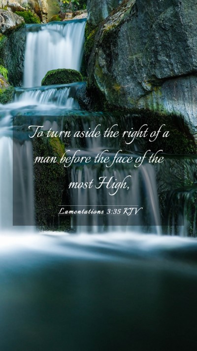 Picture 03 - Lamentations 3:35 KJV Mobile Phone Wallpaper - To turn aside the right of a man before the face - Mobile Bible Verse Wallpaper