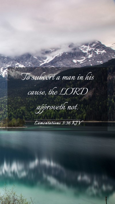 Picture 03 - Lamentations 3:36 KJV Mobile Phone Wallpaper - To subvert a man in his cause, the LORD approveth - Mobile Bible Verse Wallpaper
