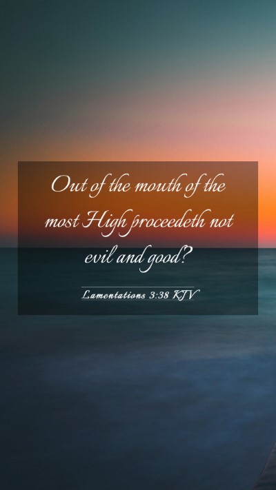 Picture 03 - Lamentations 3:38 KJV Mobile Phone Wallpaper - Out of the mouth of the most High proceedeth not - Mobile Bible Verse Wallpaper