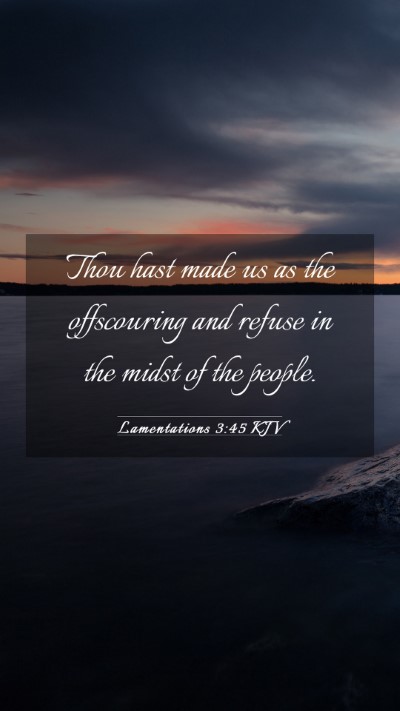 Picture 03 - Lamentations 3:45 KJV Mobile Phone Wallpaper - Thou hast made us as the offscouring and refuse - Mobile Bible Verse Wallpaper