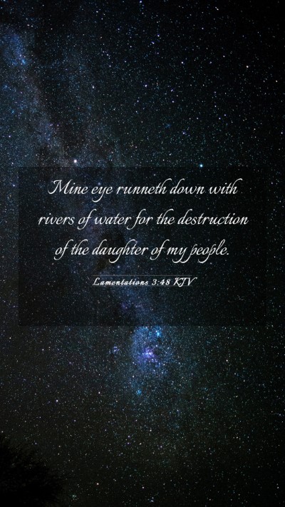 Picture 03 - Lamentations 3:48 KJV Mobile Phone Wallpaper - Mine eye runneth down with rivers of water for - Mobile Bible Verse Wallpaper