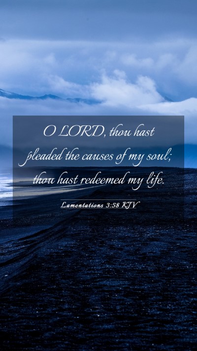 Picture 03 - Lamentations 3:58 KJV Mobile Phone Wallpaper - O LORD, thou hast pleaded the causes of my soul; - Mobile Bible Verse Wallpaper