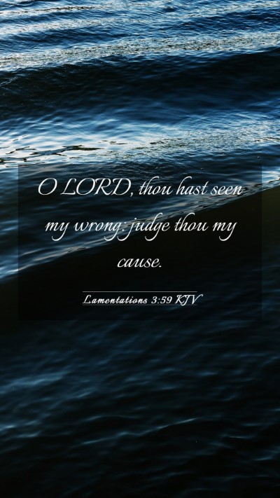 Picture 03 - Lamentations 3:59 KJV Mobile Phone Wallpaper - O LORD, thou hast seen my wrong: judge thou my - Mobile Bible Verse Wallpaper