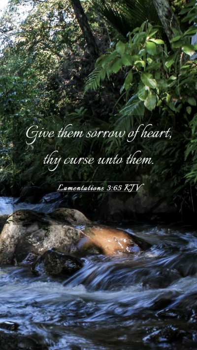 Picture 03 - Lamentations 3:65 KJV Mobile Phone Wallpaper - Give them sorrow of heart, thy curse unto - Mobile Bible Verse Wallpaper