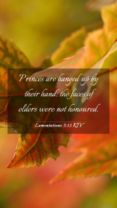 Picture 03 - Lamentations 5:12 KJV Mobile Phone Wallpaper - Princes are hanged up by their hand: the faces of - Mobile Bible Verse Wallpaper