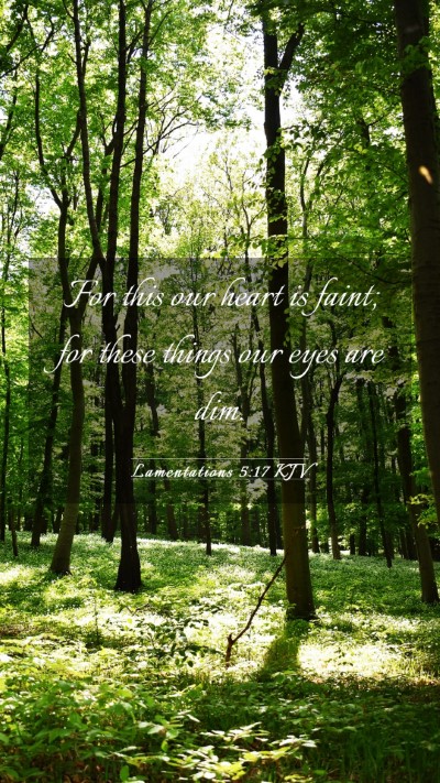 Picture 03 - Lamentations 5:17 KJV Mobile Phone Wallpaper - For this our heart is faint; for these things our - Mobile Bible Verse Wallpaper