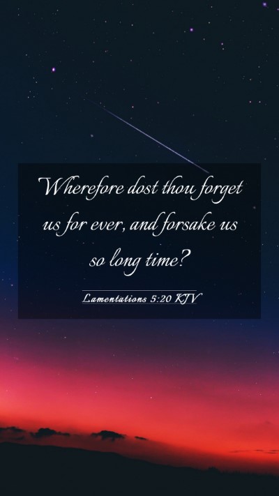 Picture 03 - Lamentations 5:20 KJV Mobile Phone Wallpaper - Wherefore dost thou forget us for ever, and - Mobile Bible Verse Wallpaper