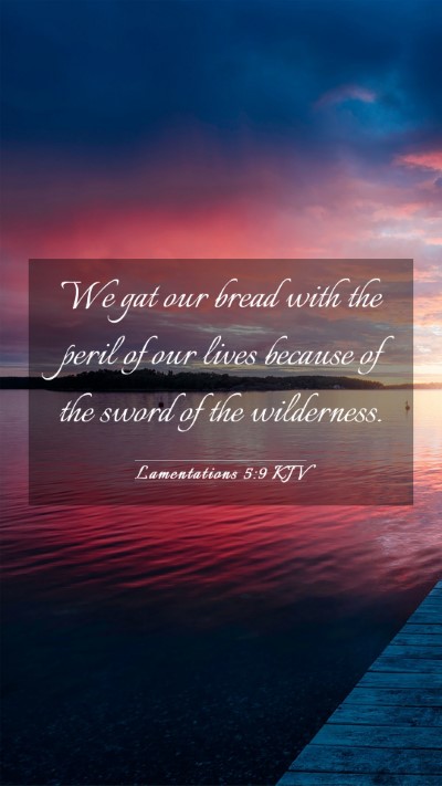 Picture 03 - Lamentations 5:9 KJV Mobile Phone Wallpaper - We gat our bread with the peril of our lives - Mobile Bible Verse Wallpaper