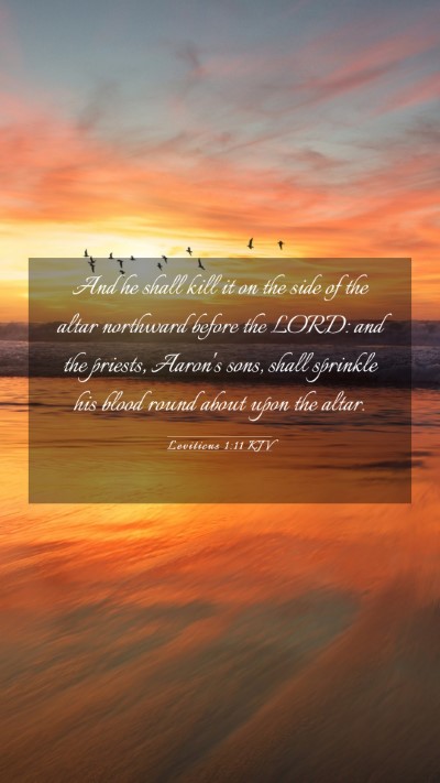 Picture 03 - Leviticus 1:11 KJV Mobile Phone Wallpaper - And he shall kill it on the side of the altar - Mobile Bible Verse Wallpaper