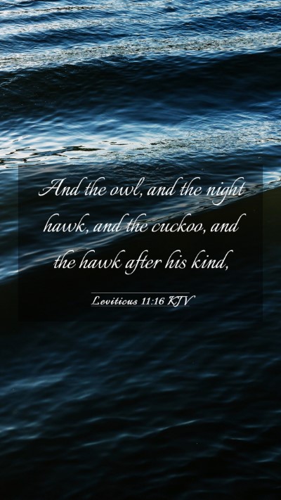 Picture 03 - Leviticus 11:16 KJV Mobile Phone Wallpaper - And the owl, and the night hawk, and the cuckoo, - Mobile Bible Verse Wallpaper