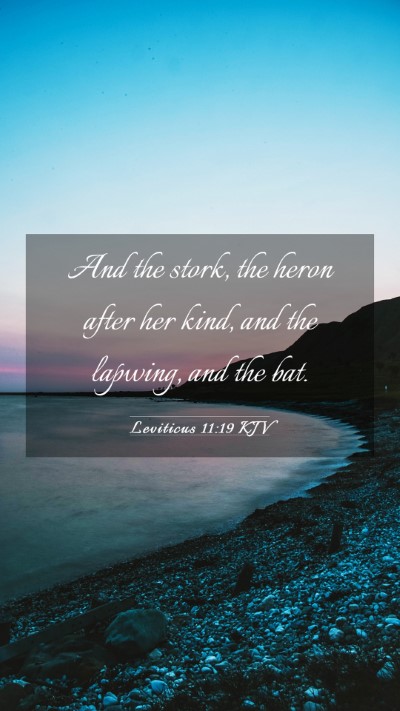 Picture 03 - Leviticus 11:19 KJV Mobile Phone Wallpaper - And the stork, the heron after her kind, and the - Mobile Bible Verse Wallpaper