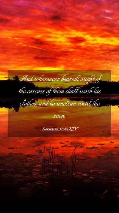 Picture 03 - Leviticus 11:25 KJV Mobile Phone Wallpaper - And whosoever beareth ought of the carcass of - Mobile Bible Verse Wallpaper