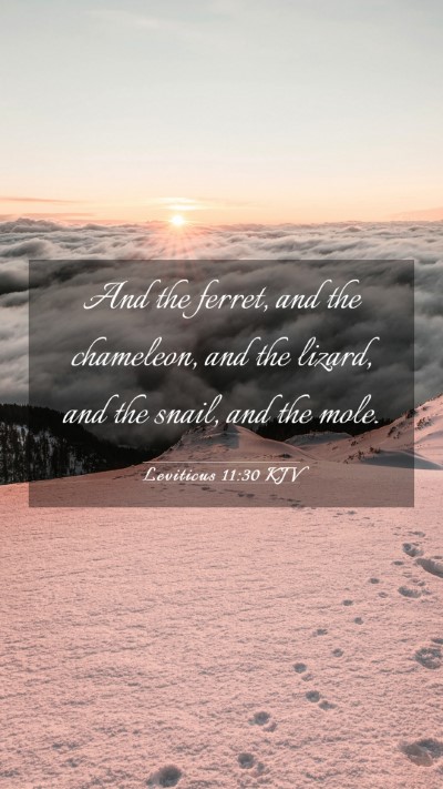 Picture 03 - Leviticus 11:30 KJV Mobile Phone Wallpaper - And the ferret, and the chameleon, and the - Mobile Bible Verse Wallpaper