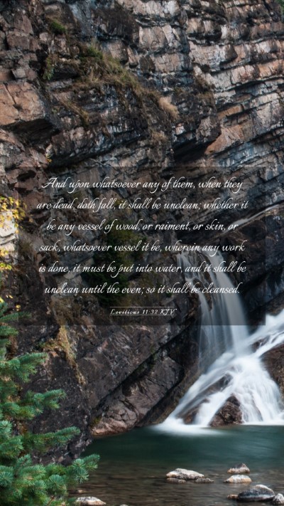 Picture 03 - Leviticus 11:32 KJV Mobile Phone Wallpaper - And upon whatsoever any of them, when they are - Mobile Bible Verse Wallpaper