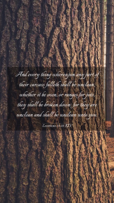 Picture 03 - Leviticus 11:35 KJV Mobile Phone Wallpaper - And every thing whereupon any part of their - Mobile Bible Verse Wallpaper