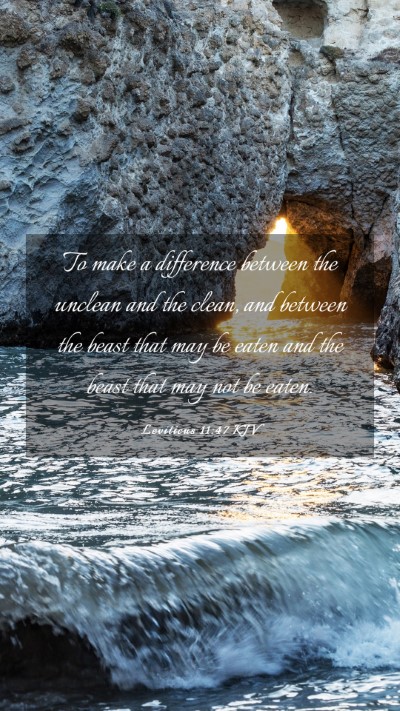 Picture 03 - Leviticus 11:47 KJV Mobile Phone Wallpaper - To make a difference between the unclean and the - Mobile Bible Verse Wallpaper