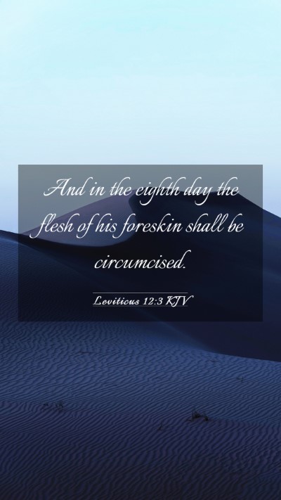 Picture 03 - Leviticus 12:3 KJV Mobile Phone Wallpaper - And in the eighth day the flesh of his foreskin - Mobile Bible Verse Wallpaper