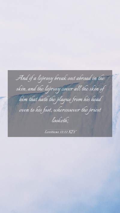 Picture 03 - Leviticus 13:12 KJV Mobile Phone Wallpaper - And if a leprosy break out abroad in the skin, - Mobile Bible Verse Wallpaper