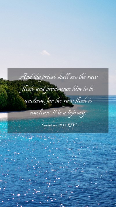 Picture 03 - Leviticus 13:15 KJV Mobile Phone Wallpaper - And the priest shall see the raw flesh, and - Mobile Bible Verse Wallpaper