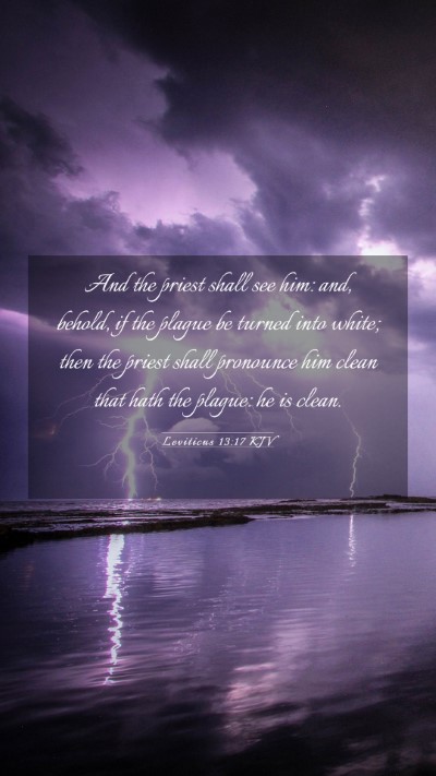 Picture 03 - Leviticus 13:17 KJV Mobile Phone Wallpaper - And the priest shall see him: and, behold, if the - Mobile Bible Verse Wallpaper