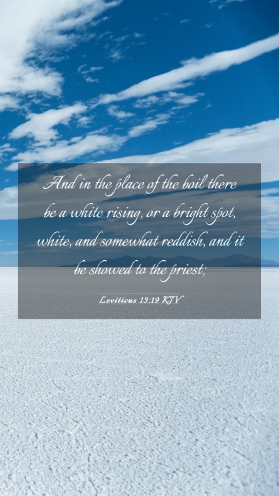 Picture 03 - Leviticus 13:19 KJV Mobile Phone Wallpaper - And in the place of the boil there be a white - Mobile Bible Verse Wallpaper