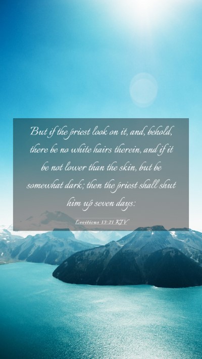 Picture 03 - Leviticus 13:21 KJV Mobile Phone Wallpaper - But if the priest look on it, and, behold, there - Mobile Bible Verse Wallpaper