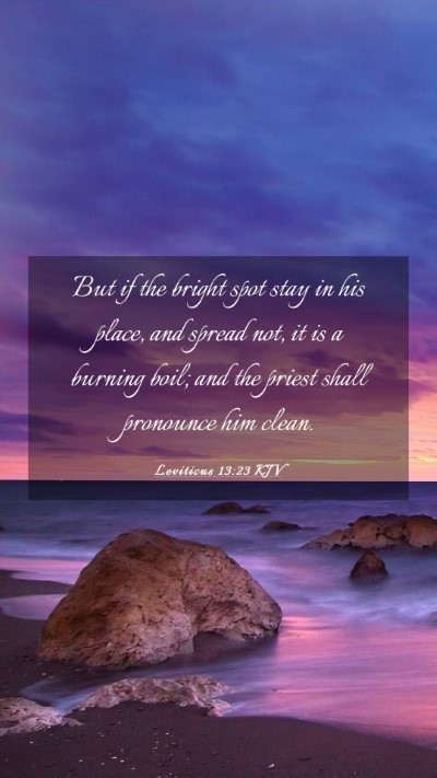 Picture 03 - Leviticus 13:23 KJV Mobile Phone Wallpaper - But if the bright spot stay in his place, and - Mobile Bible Verse Wallpaper