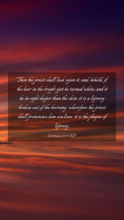 Picture 03 - Leviticus 13:25 KJV Mobile Phone Wallpaper - Then the priest shall look upon it: and, behold, - Mobile Bible Verse Wallpaper