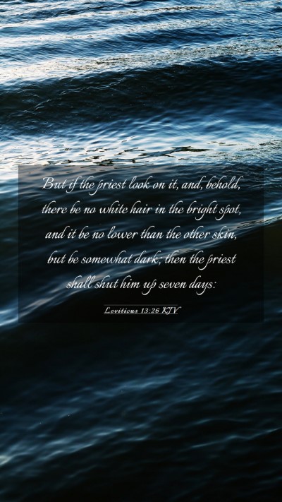 Picture 03 - Leviticus 13:26 KJV Mobile Phone Wallpaper - But if the priest look on it, and, behold, there - Mobile Bible Verse Wallpaper